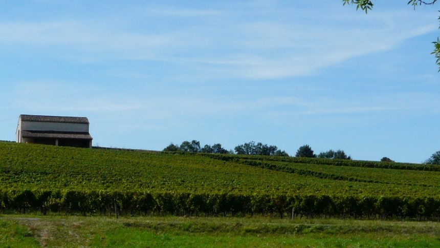 le vignoble de Genibon en Côtes de Bourg, au cœur des Grands Vins de Bordeaux