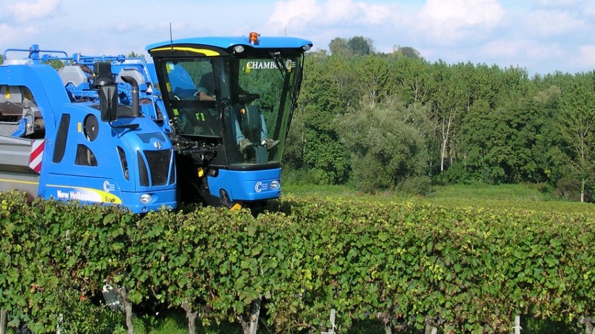 la machine à vendanger